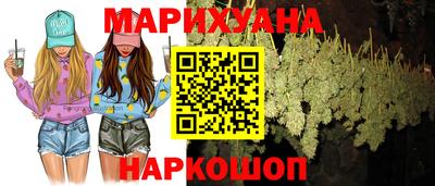крисы Апшеронск