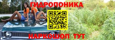 крисы Апшеронск