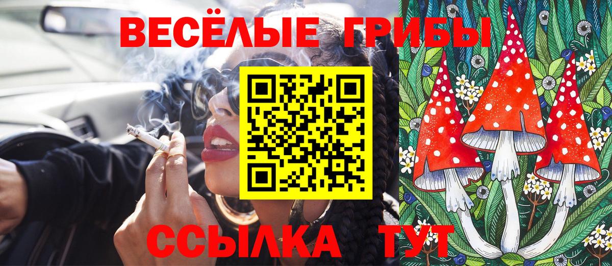 Галлюциногенные грибы Cubensis Бахчисарай